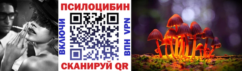 omg как зайти  Лодейное Поле  Галлюциногенные грибы Psilocybe 