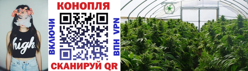 omg ссылки  shop клад  Каннабис планчик  купить закладку  Лодейное Поле 